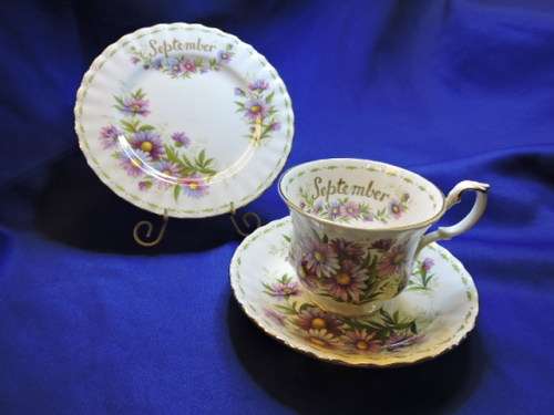 Royal Albert Trio September Michaelmas Daisy England